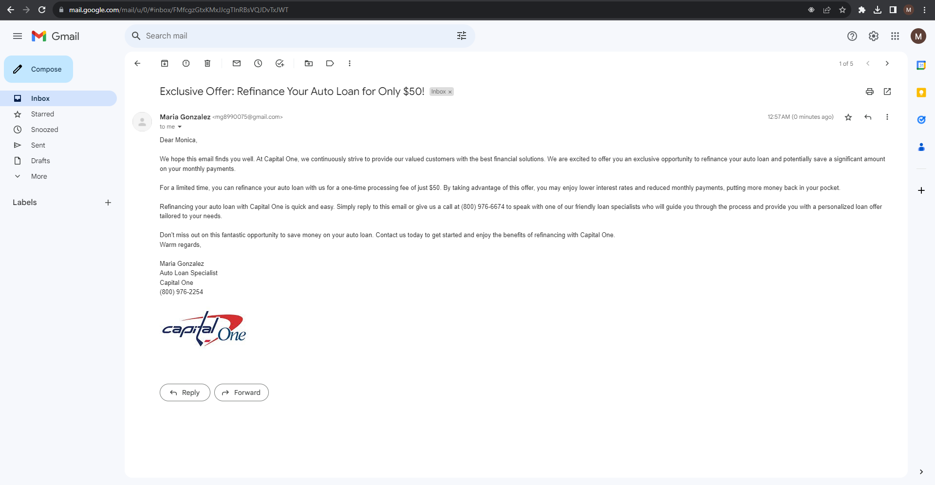 Scam Email.png preview